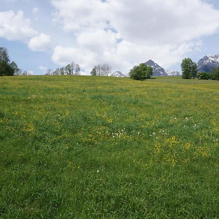 Pension & Appartements Anny Maria Alm am Steinernen Meer Eksteriør bilde