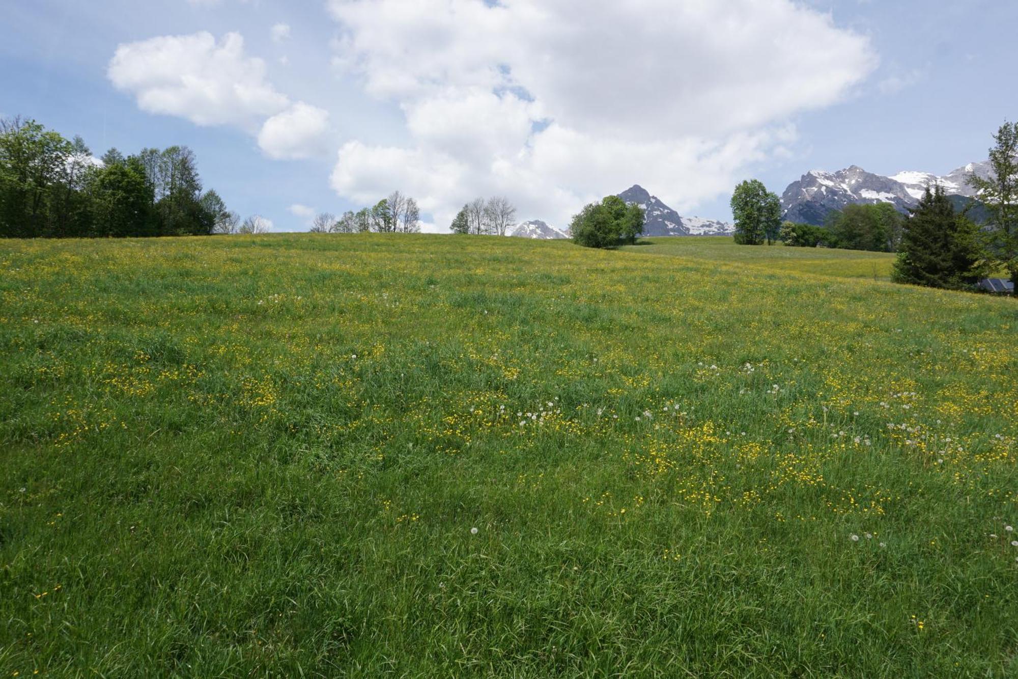 Pension & Appartements Anny Maria Alm am Steinernen Meer Eksteriør bilde