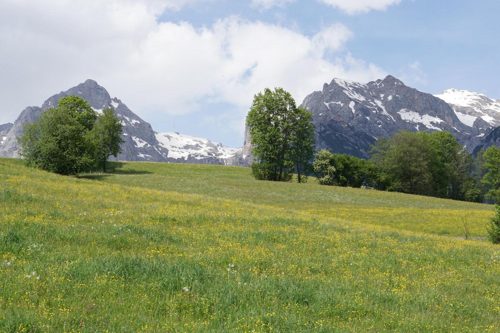 Pension & Appartements Anny Maria Alm am Steinernen Meer Eksteriør bilde